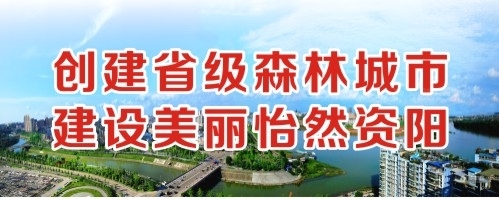 狠狠的操你的嫩逼创建省级森林城市 建设美丽怡然资阳